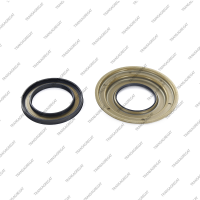 Комплект поршней (2шт., обрезиненные, тип 1, Audi)