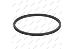Уплотнительное кольцо задней крышки (OD 48mm)*