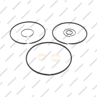 Комплект уплотнительных колец (10шт.)