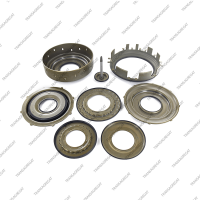 Комплект поршней (8шт., обрезиненные, с поршнем сервопривода)*