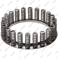 Ретейнер Forward с пружинами